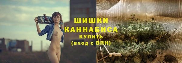 гашик Арсеньев