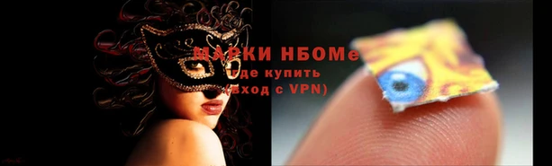ГАЛЛЮЦИНОГЕННЫЕ ГРИБЫ Аркадак