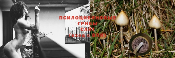 дурь Алексеевка