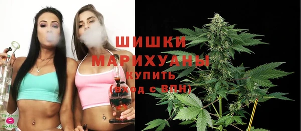гашик Арсеньев
