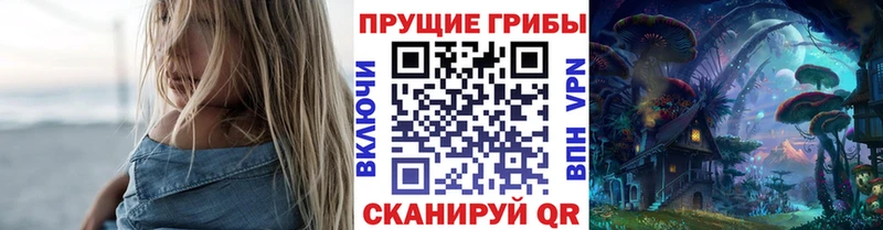 Псилоцибиновые грибы Cubensis  где найти   Суджа 