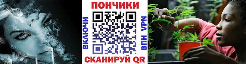 Шишки марихуана марихуана Суджа